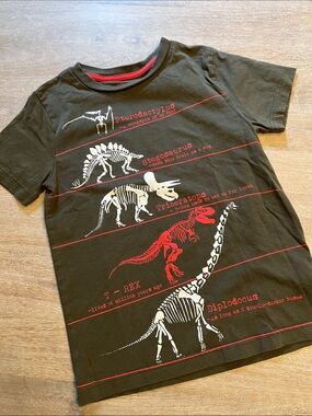 Mini Boden boys 6/7 Dino tee VGUC